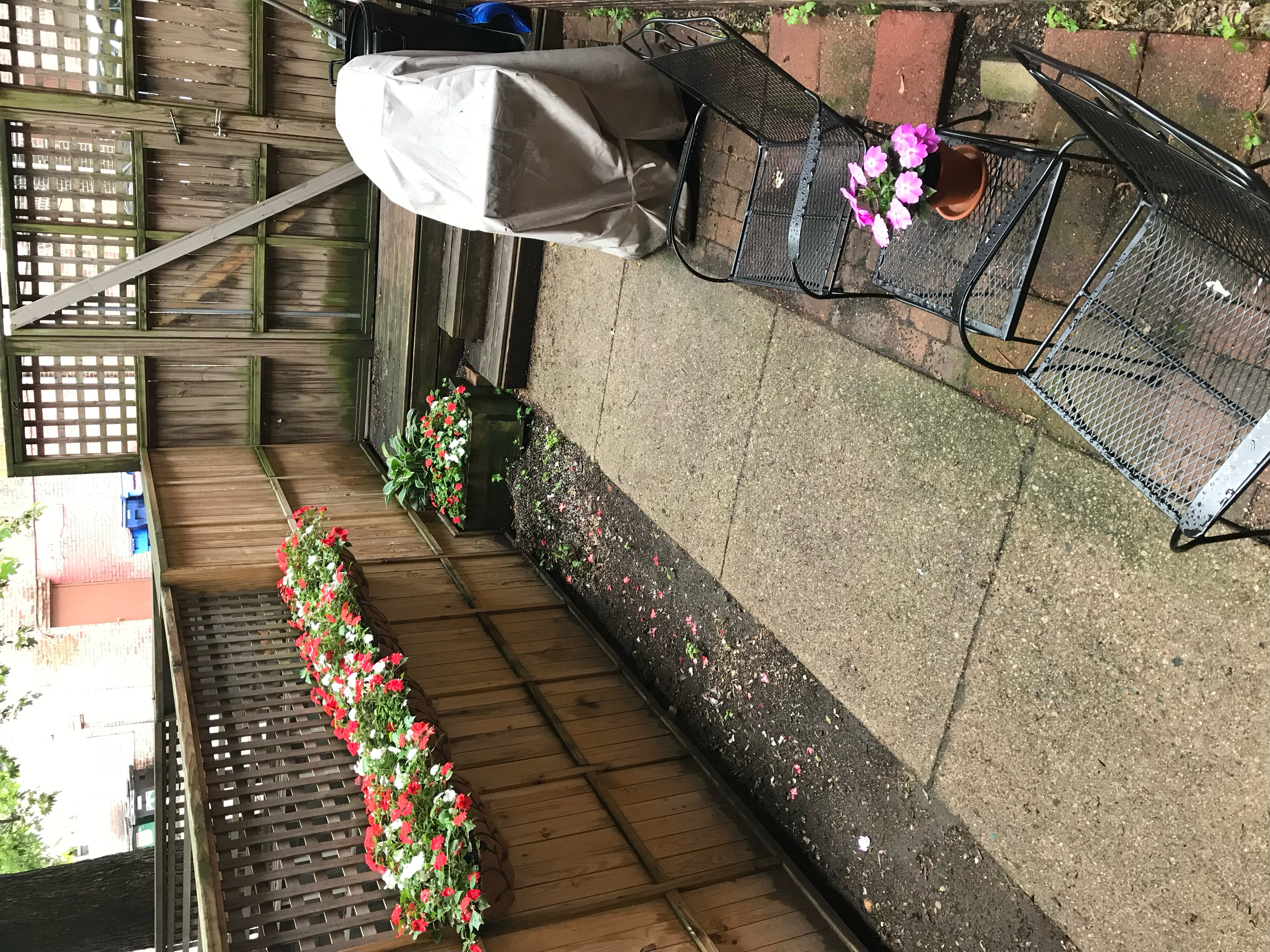 82 Saint Stephen St, Fenway