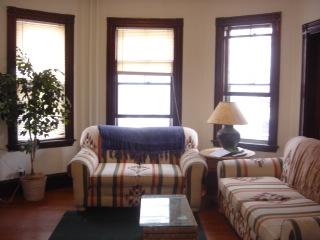 17.2 Hillside St, Mission Hill