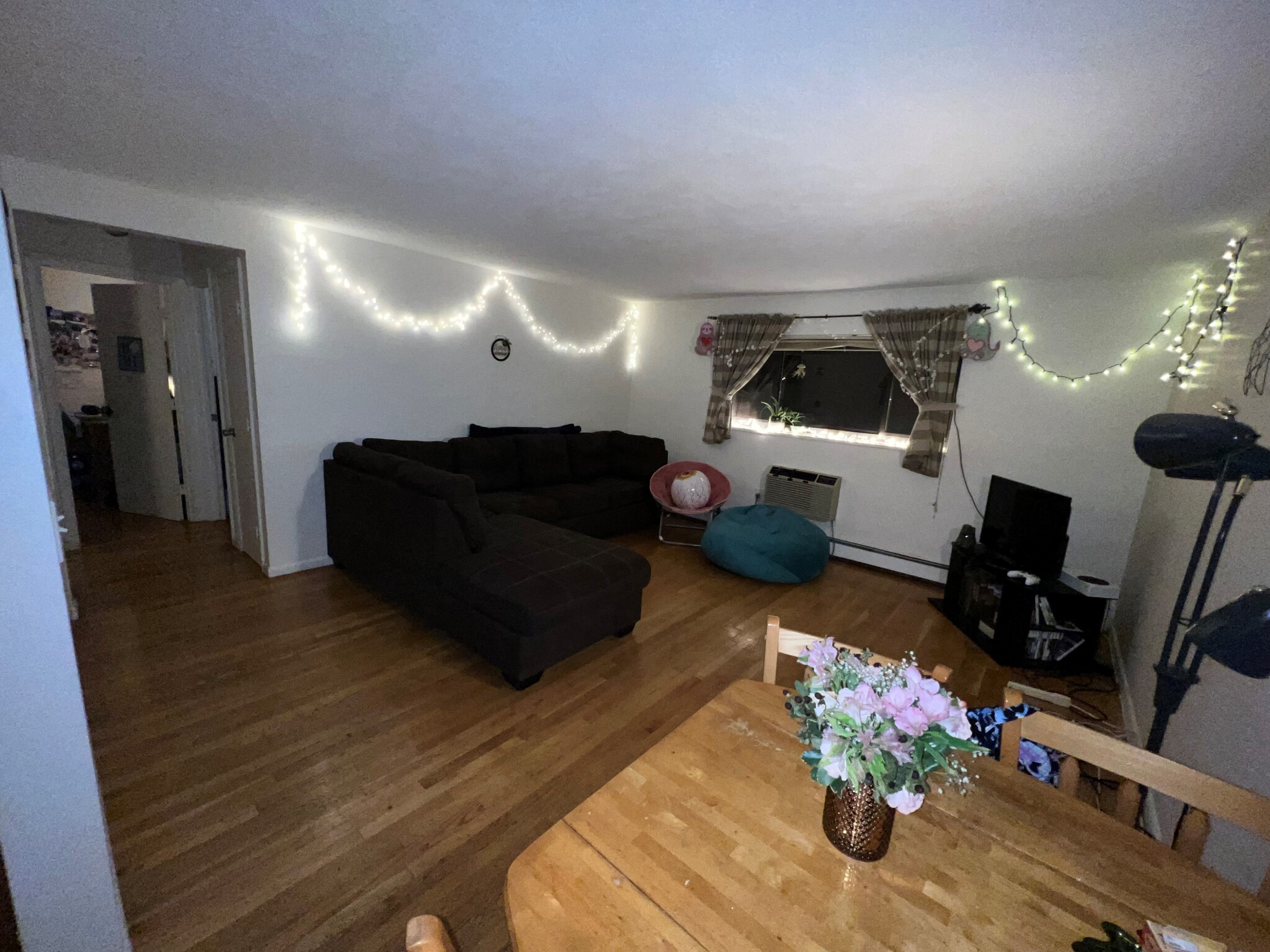 15 Walbridge St, Brighton