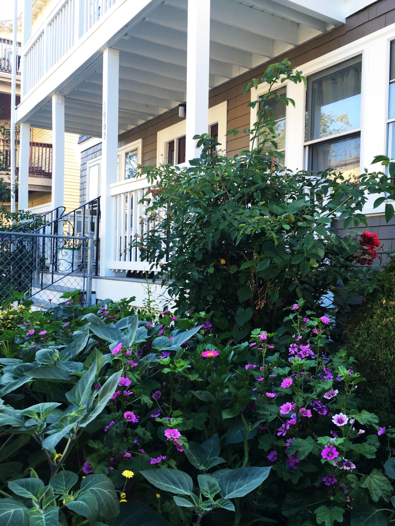 Photos of apartment on Washington St.,Boston MA 02131