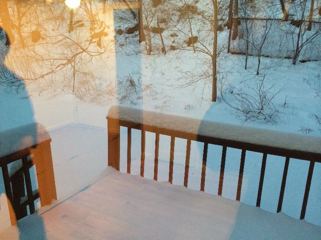 3 bed, 2 bath apartment for rent at 41 Lawn St Unit 1, Mission Hill — photo 11 of 11