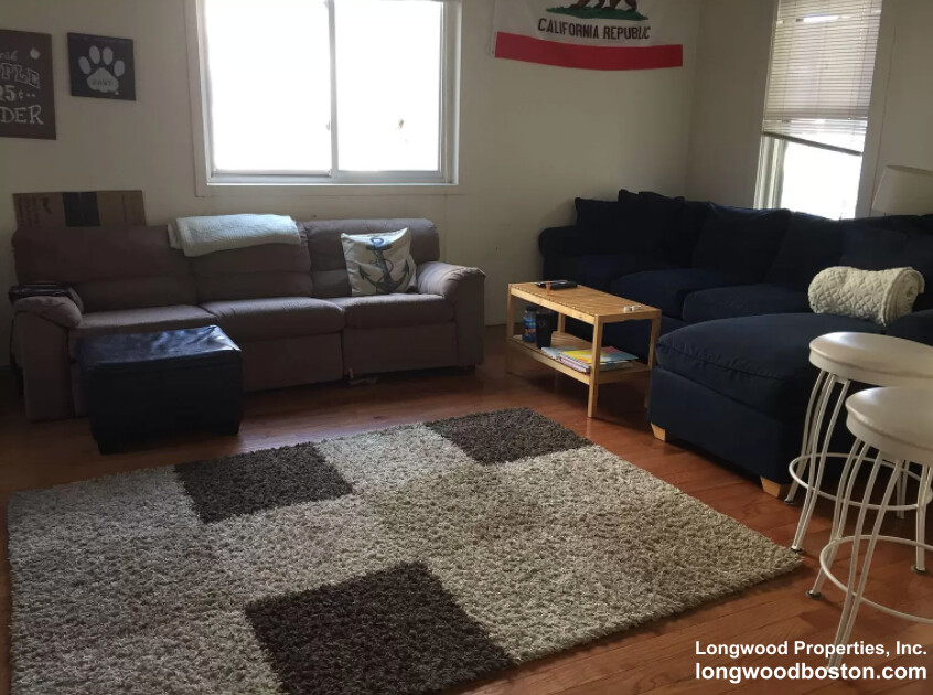 55 Hillside St. — Mission Hill
