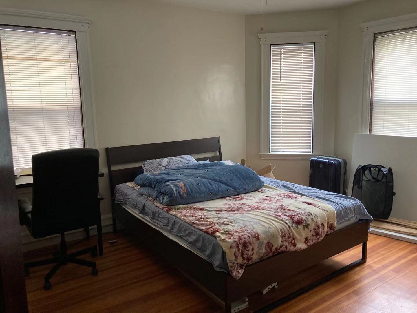 6 Edwin St, Brookline Hills