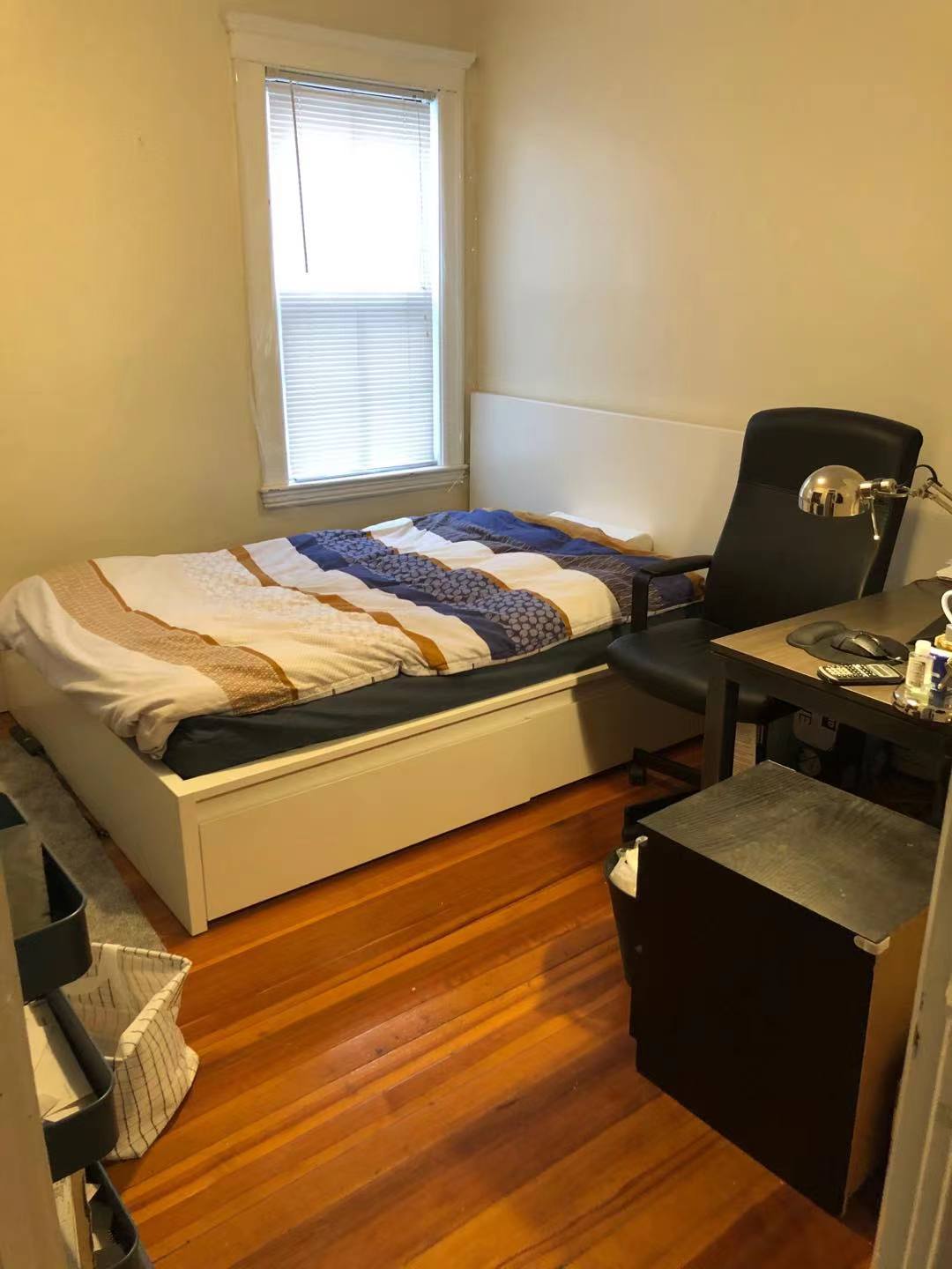 6 Edwin St, Brookline Hills