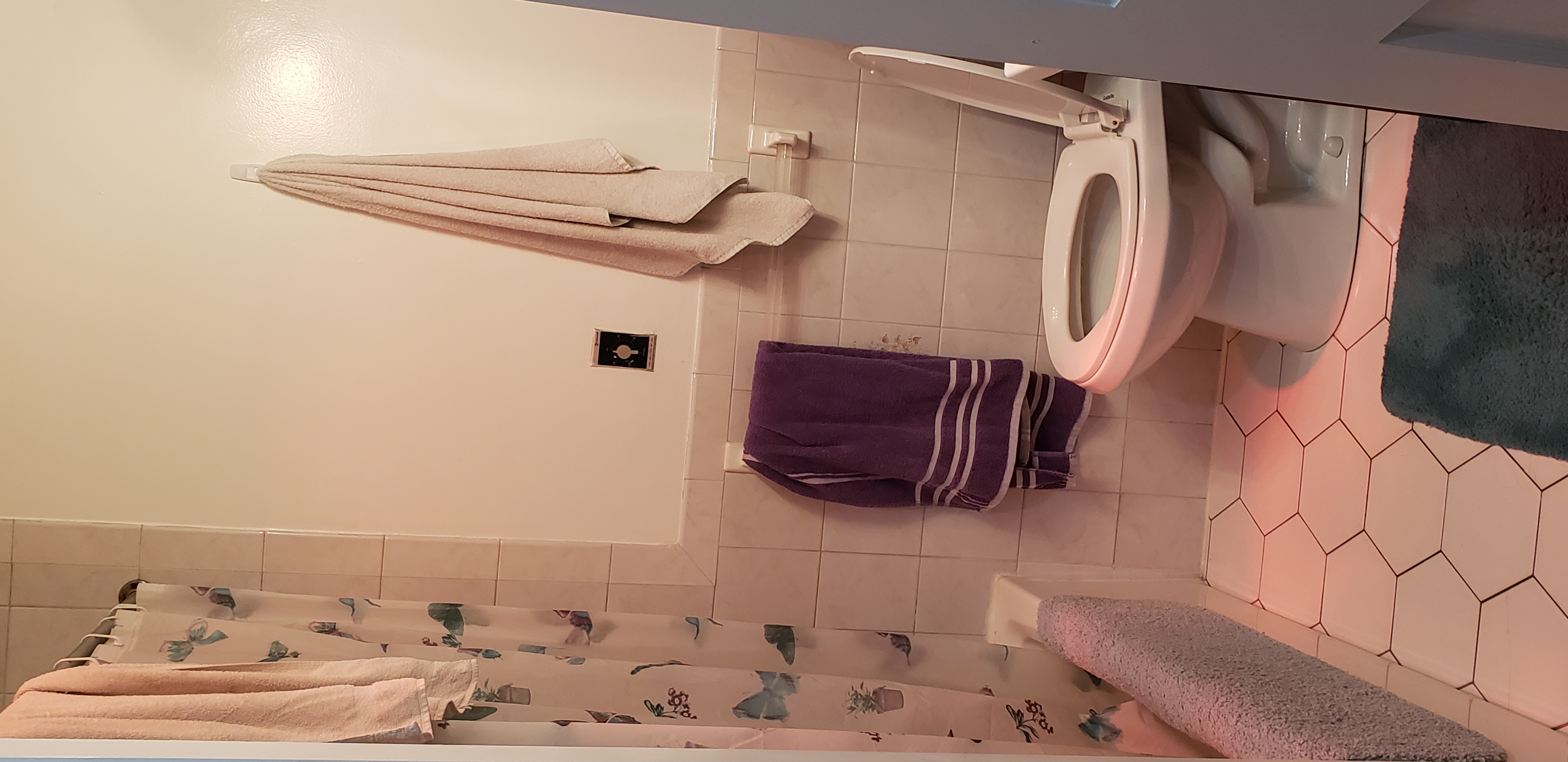 1 bed, 1 bath apartment for rent at 374 North St Unit 3, North End — photo 9 of 18