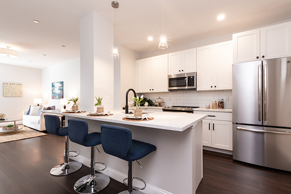 Concept Properties