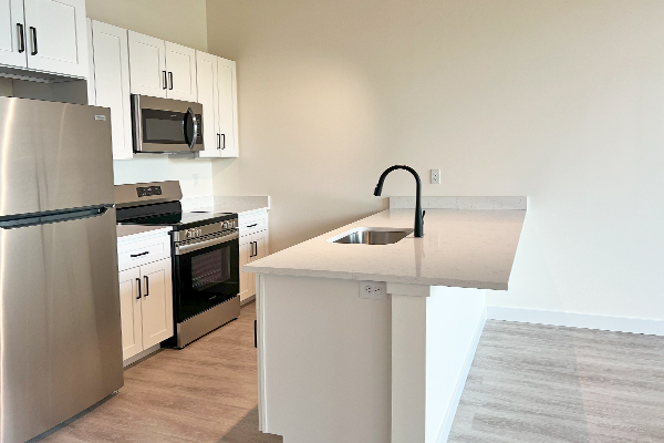 Concept Properties