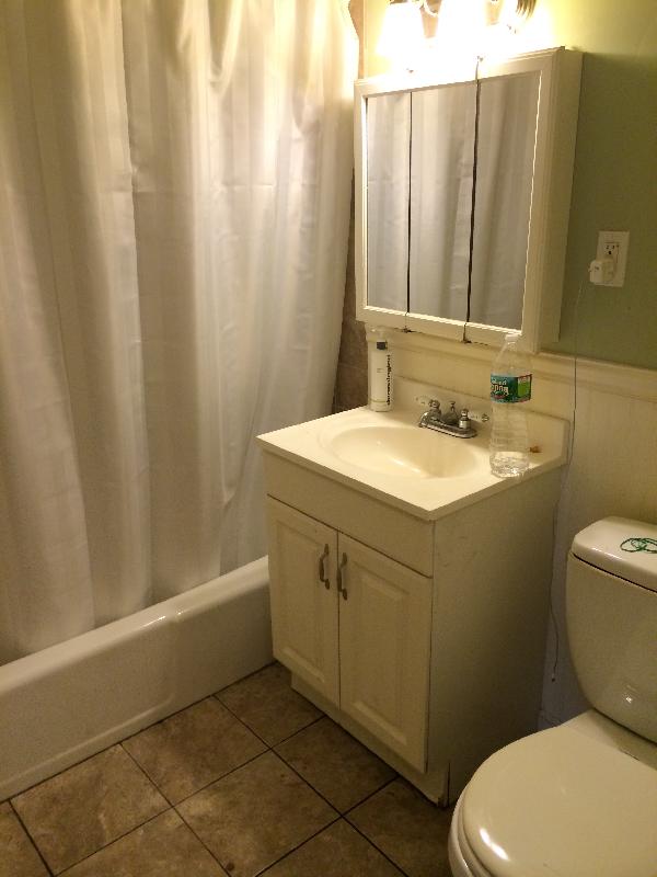 1 bed, 1 bath apartment for rent at 23 Saint Stephens Unit 5, Boston — photo 2 of 8