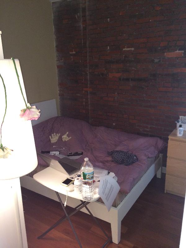 1 bed, 1 bath apartment for rent at 23 Saint Stephens Unit 5, Boston — photo 3 of 8