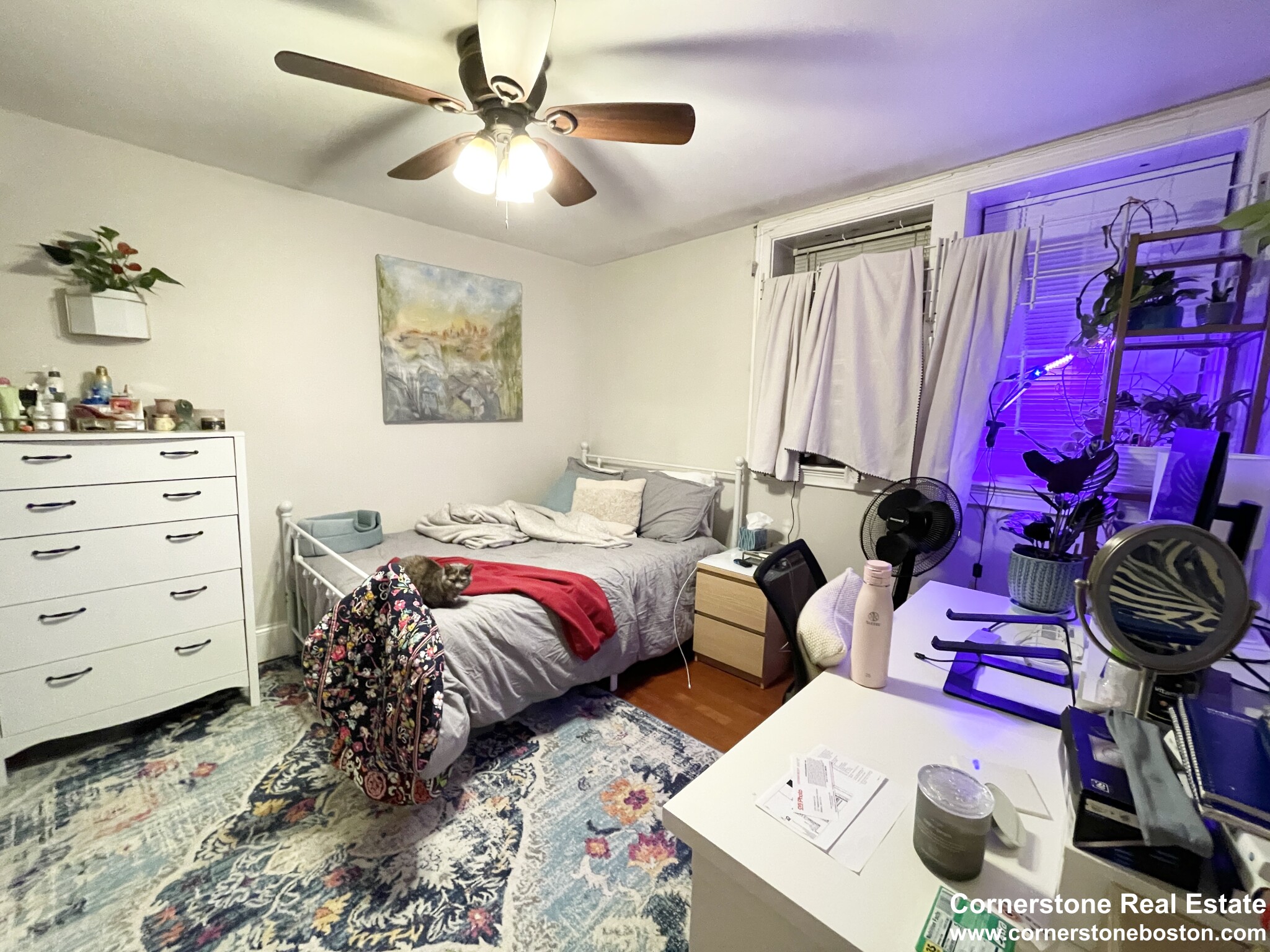 5 bed, 2 bath apartment for rent at 717 Parker Unit 1, Mission Hill — photo 21 of 24
