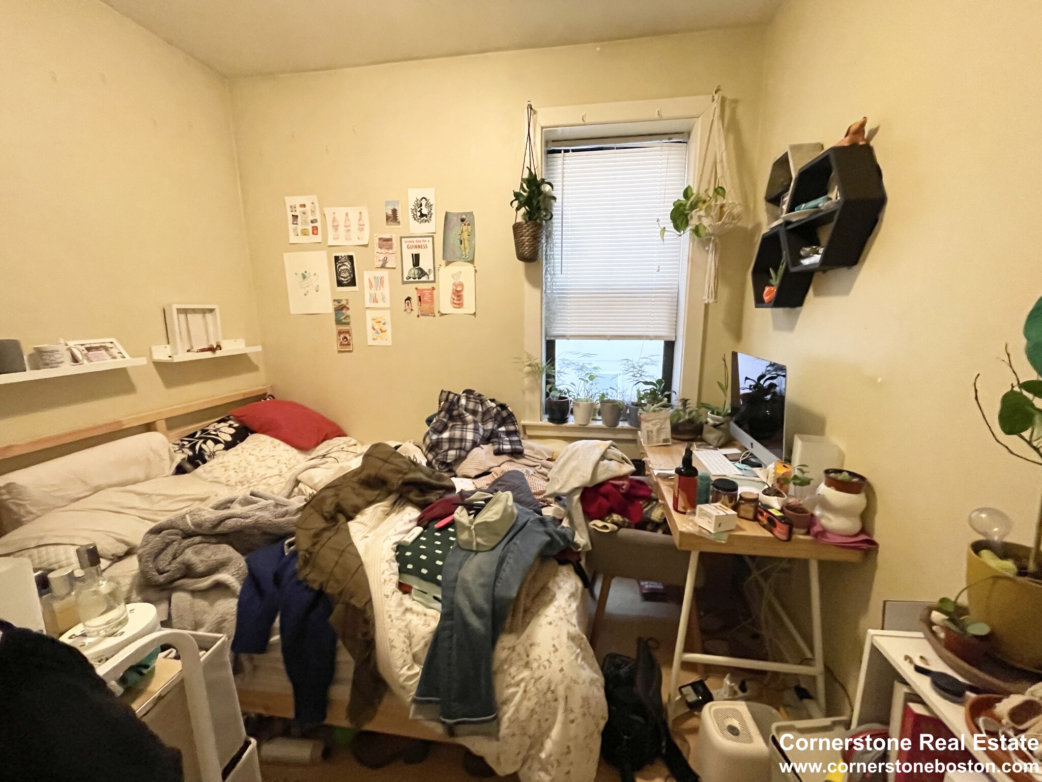 2 bed, 1 bath apartment for rent at 31 Cunard Unit 4, South End — photo 5 of 11