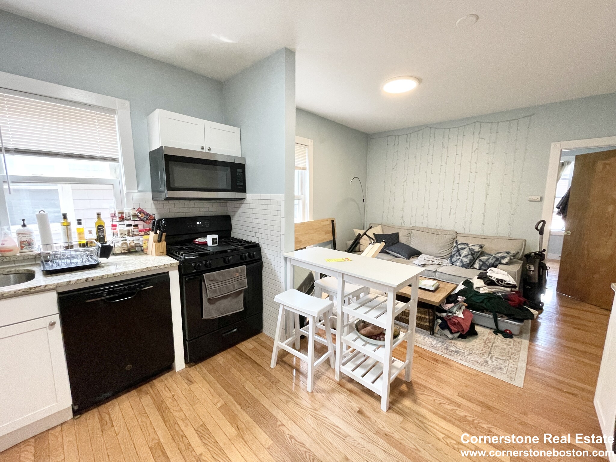 44-46 Ward, South Boston