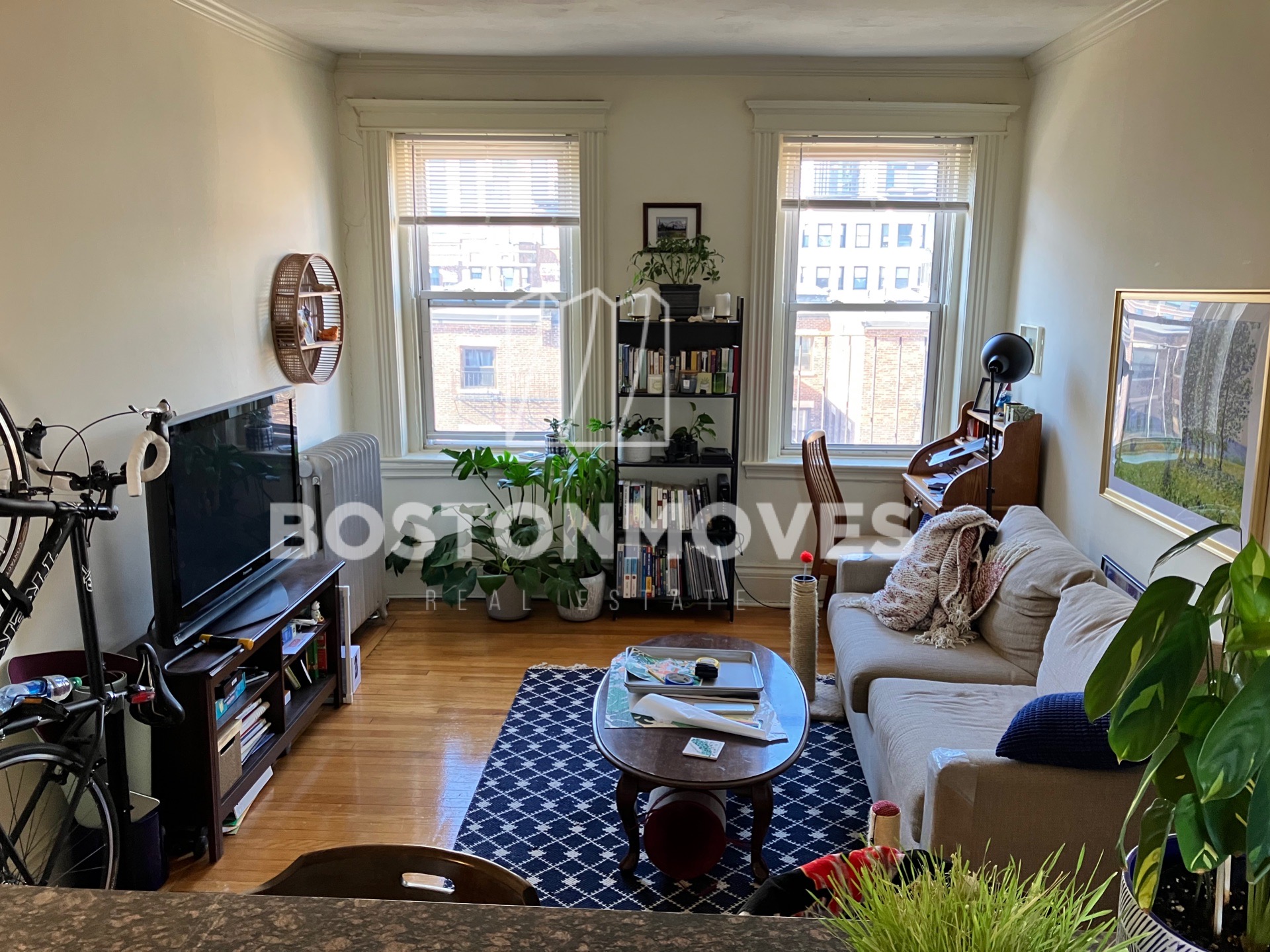 19 Queensberry St, Fenway