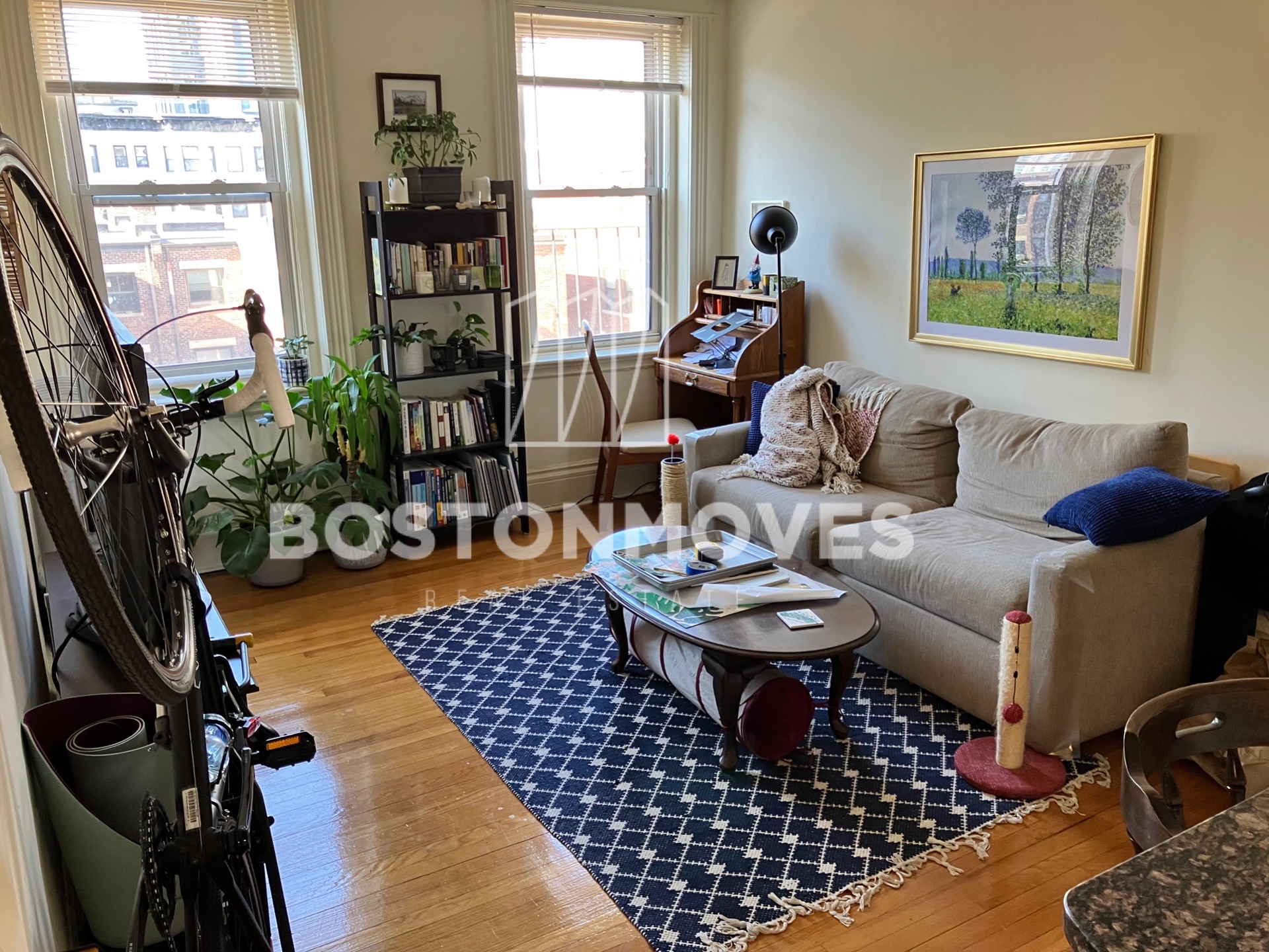 19 Queensberry St, Fenway