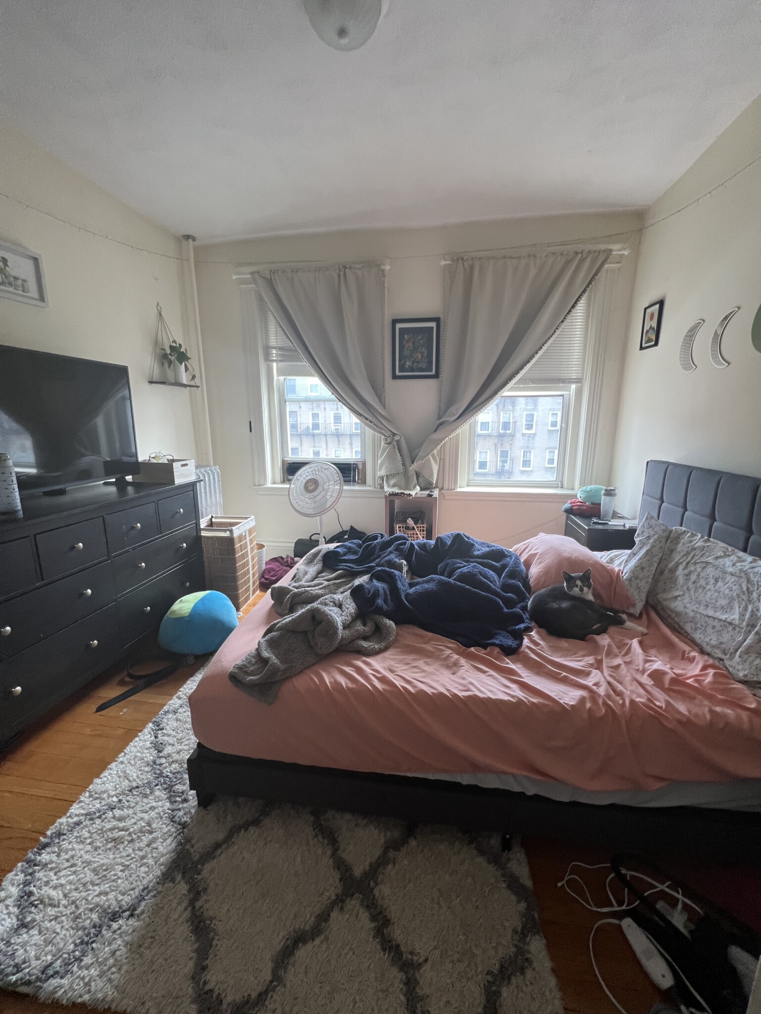 11 Queensberry St, Fenway