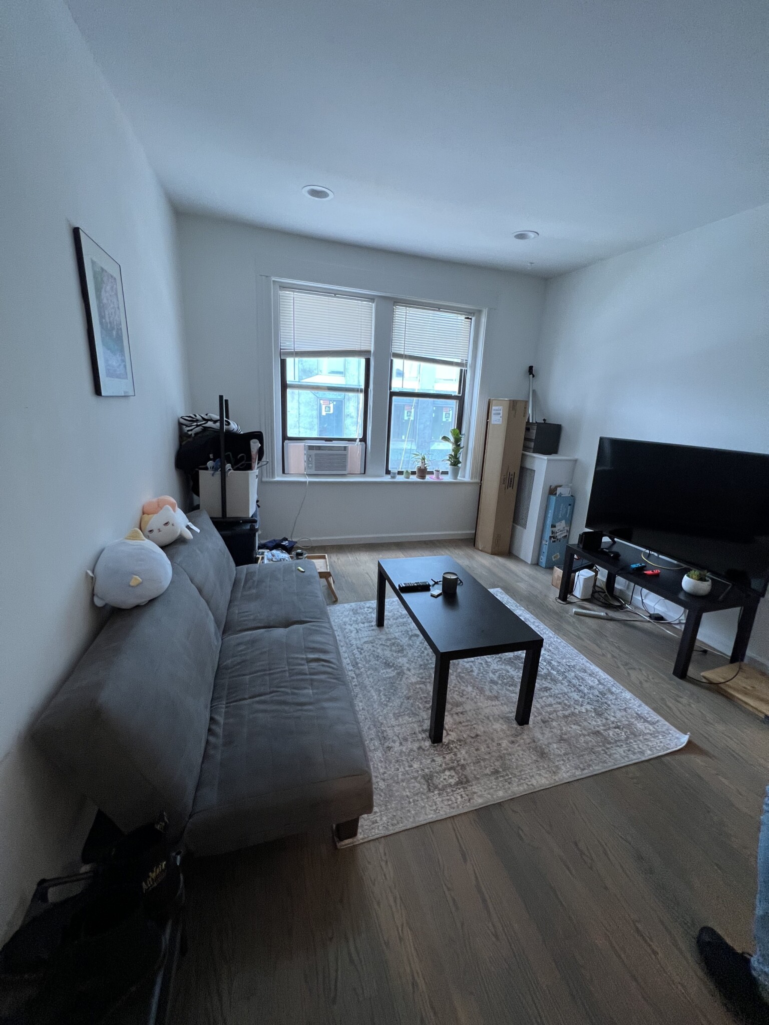 19 Peterborough St, Fenway