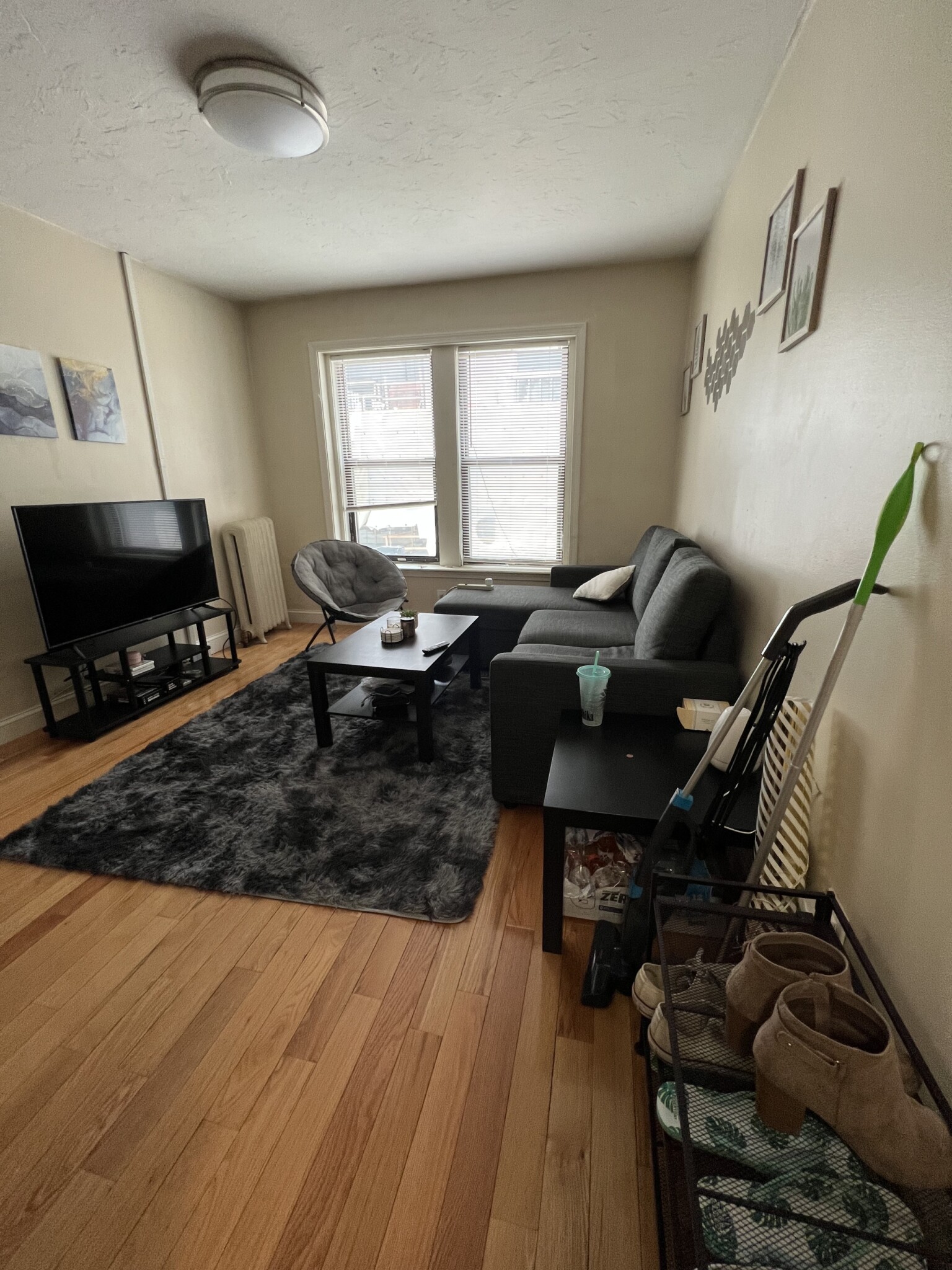 19 Peterborough St, Fenway