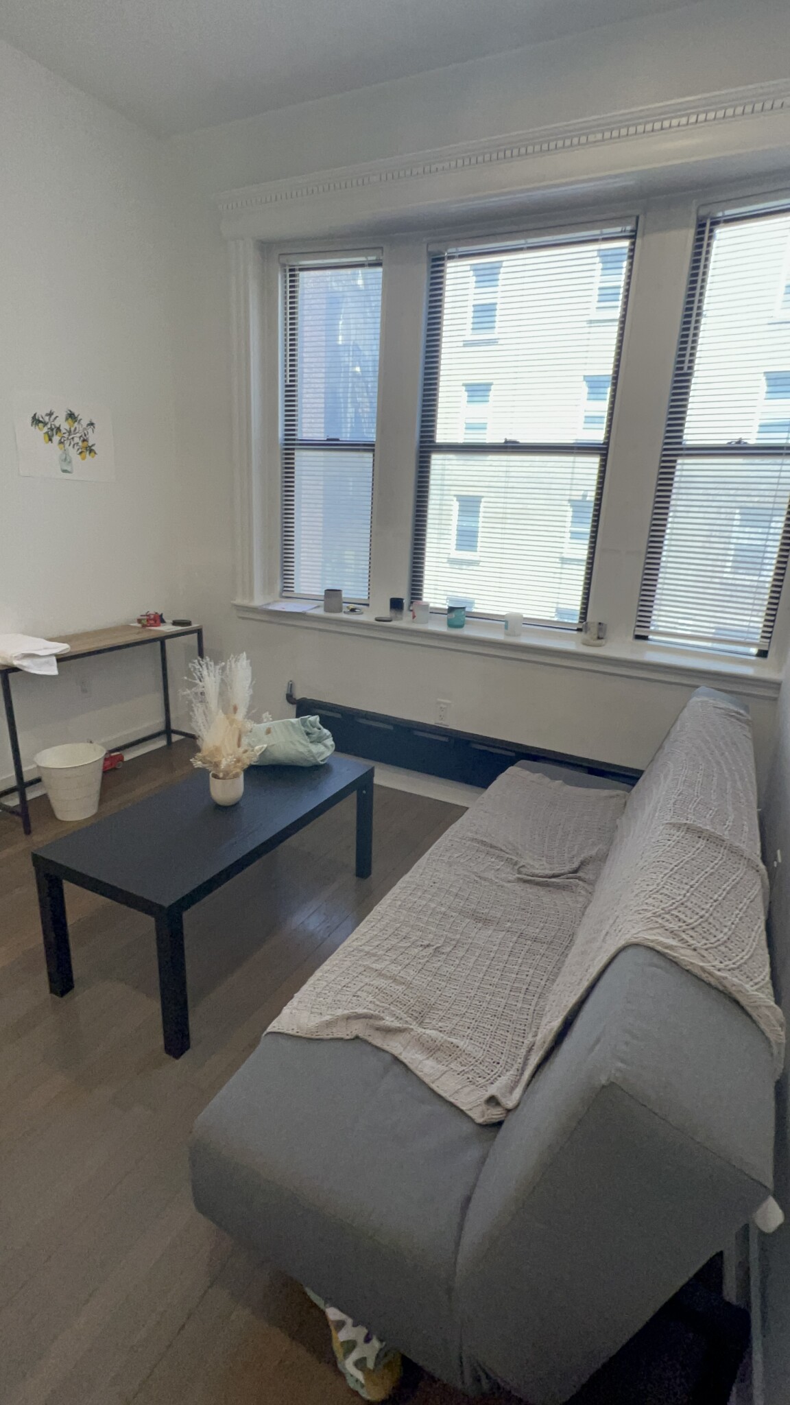 11 Queensberry St, Fenway