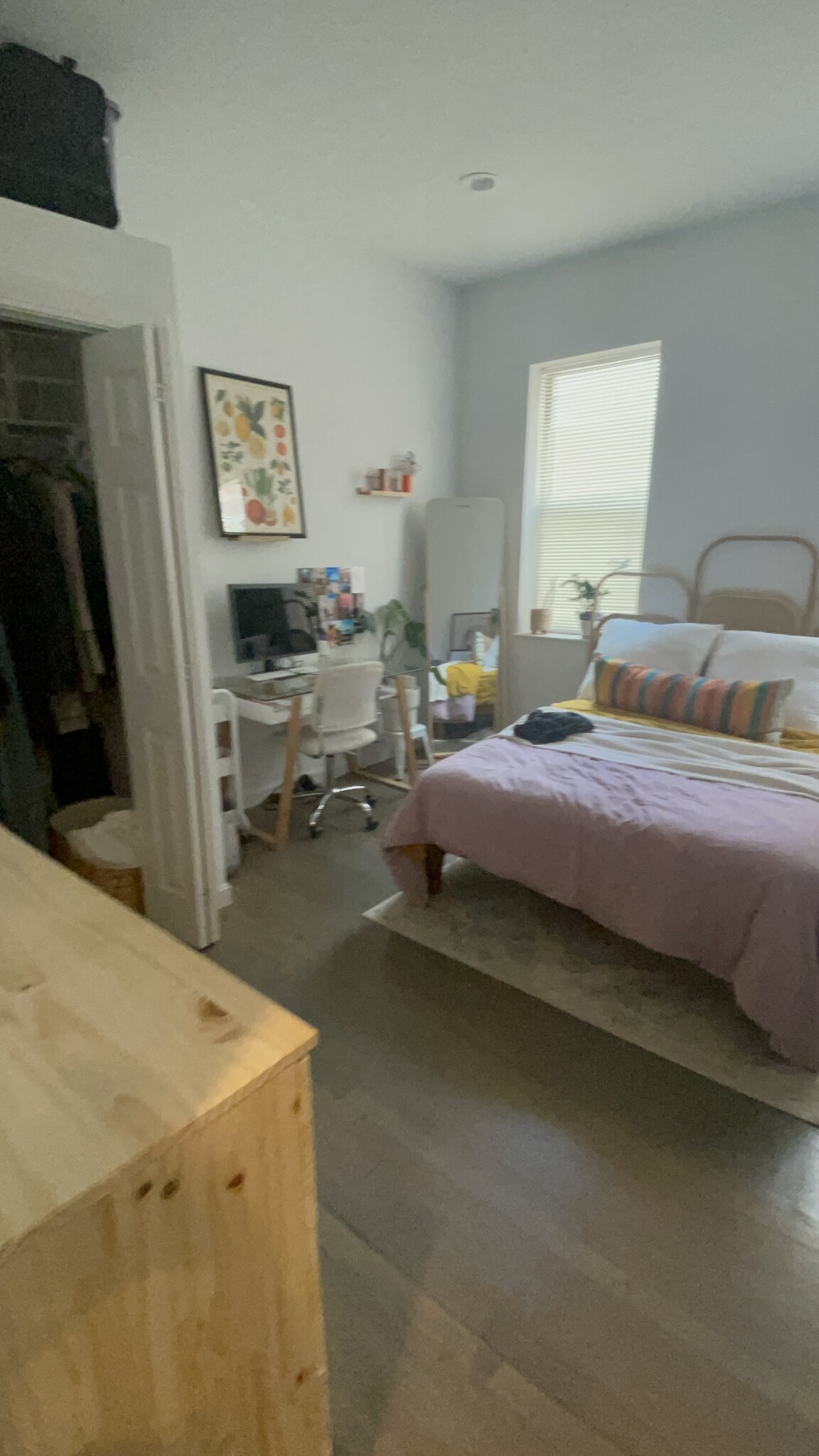 11 Queensberry St, Fenway