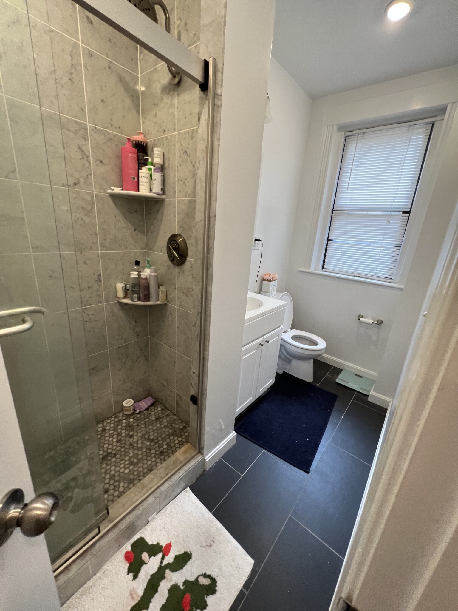 11 Peterborough St, Fenway