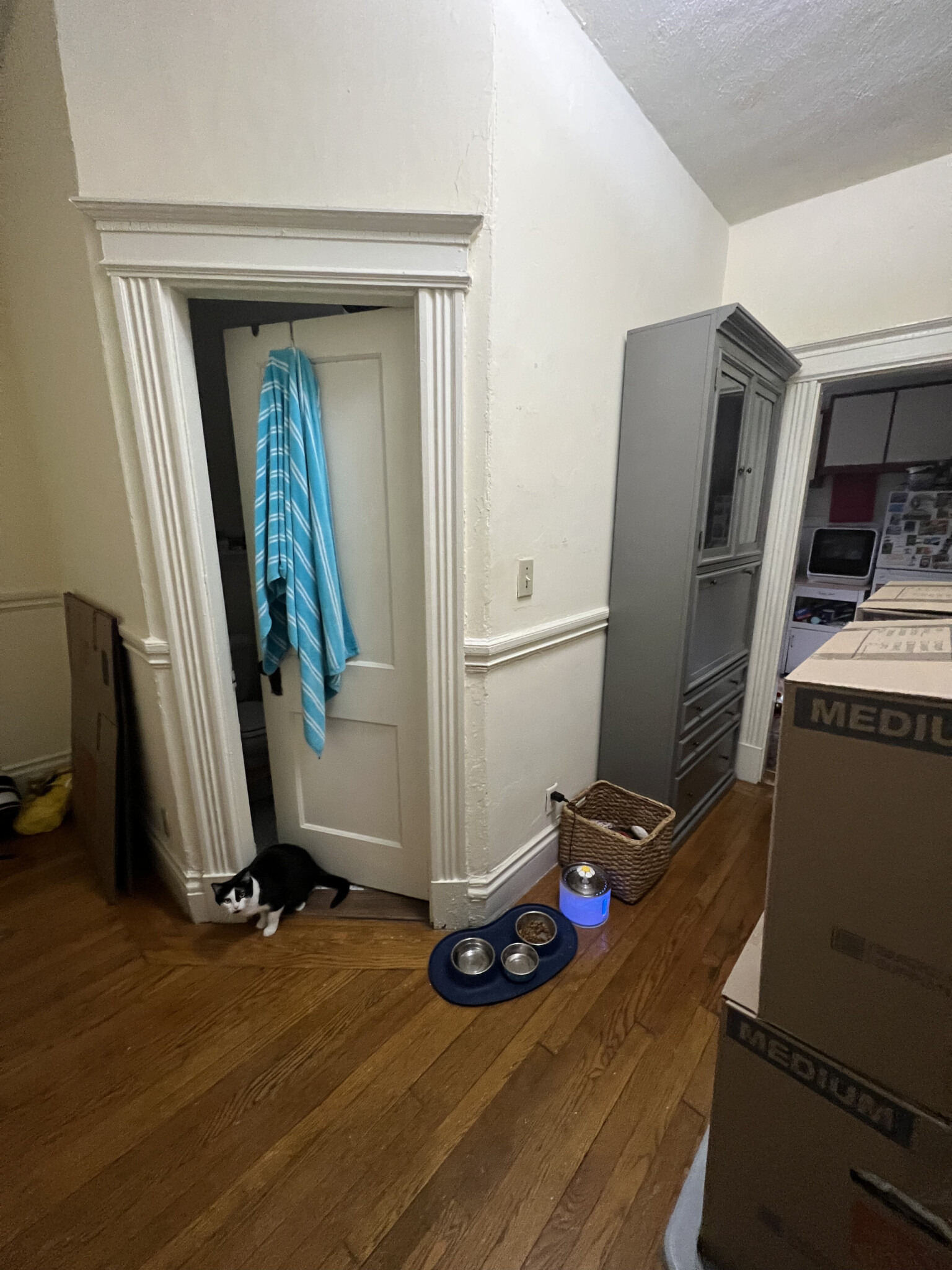 32 Queensberry St, Fenway