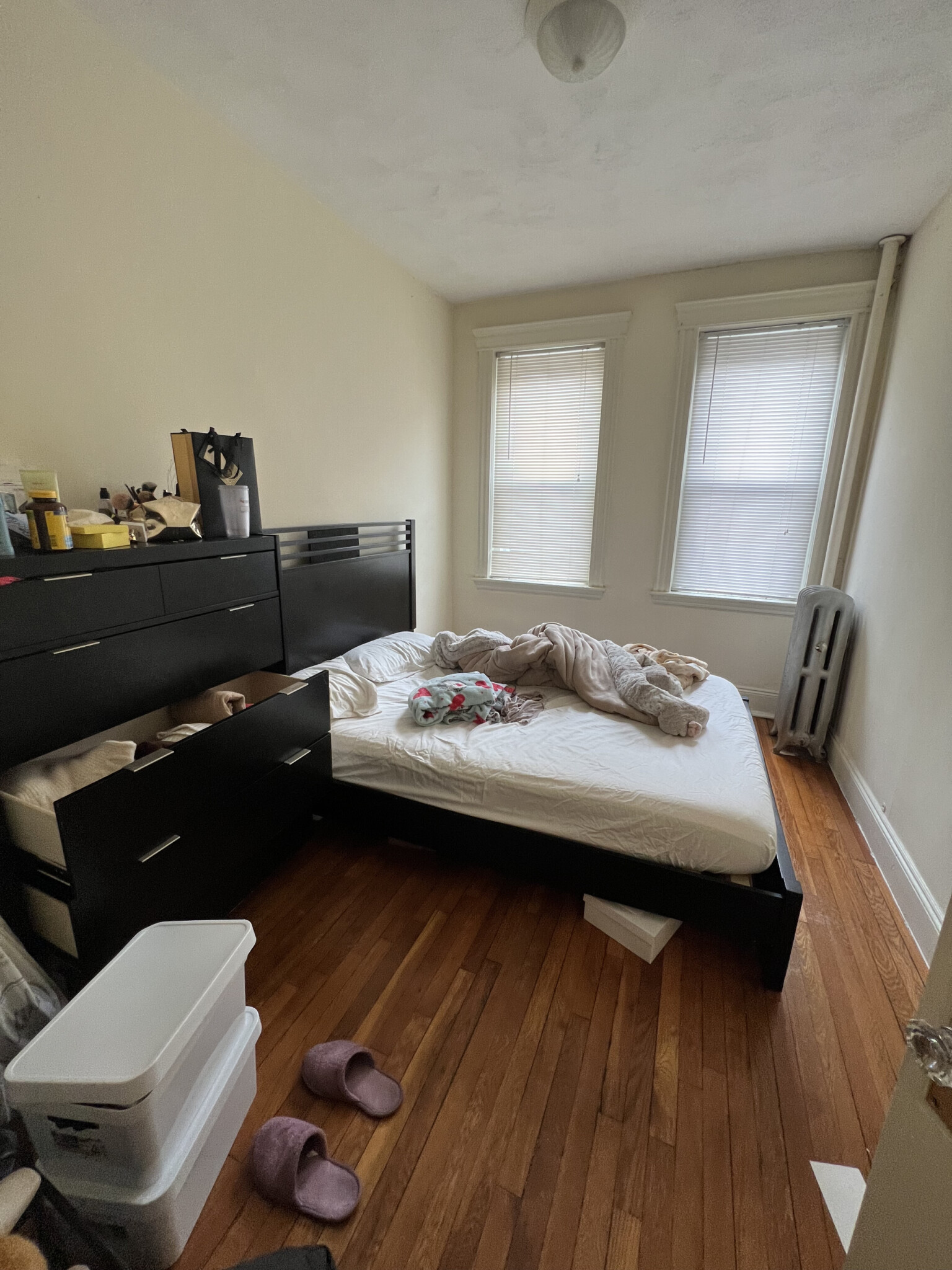 124 Peterborough St, Fenway