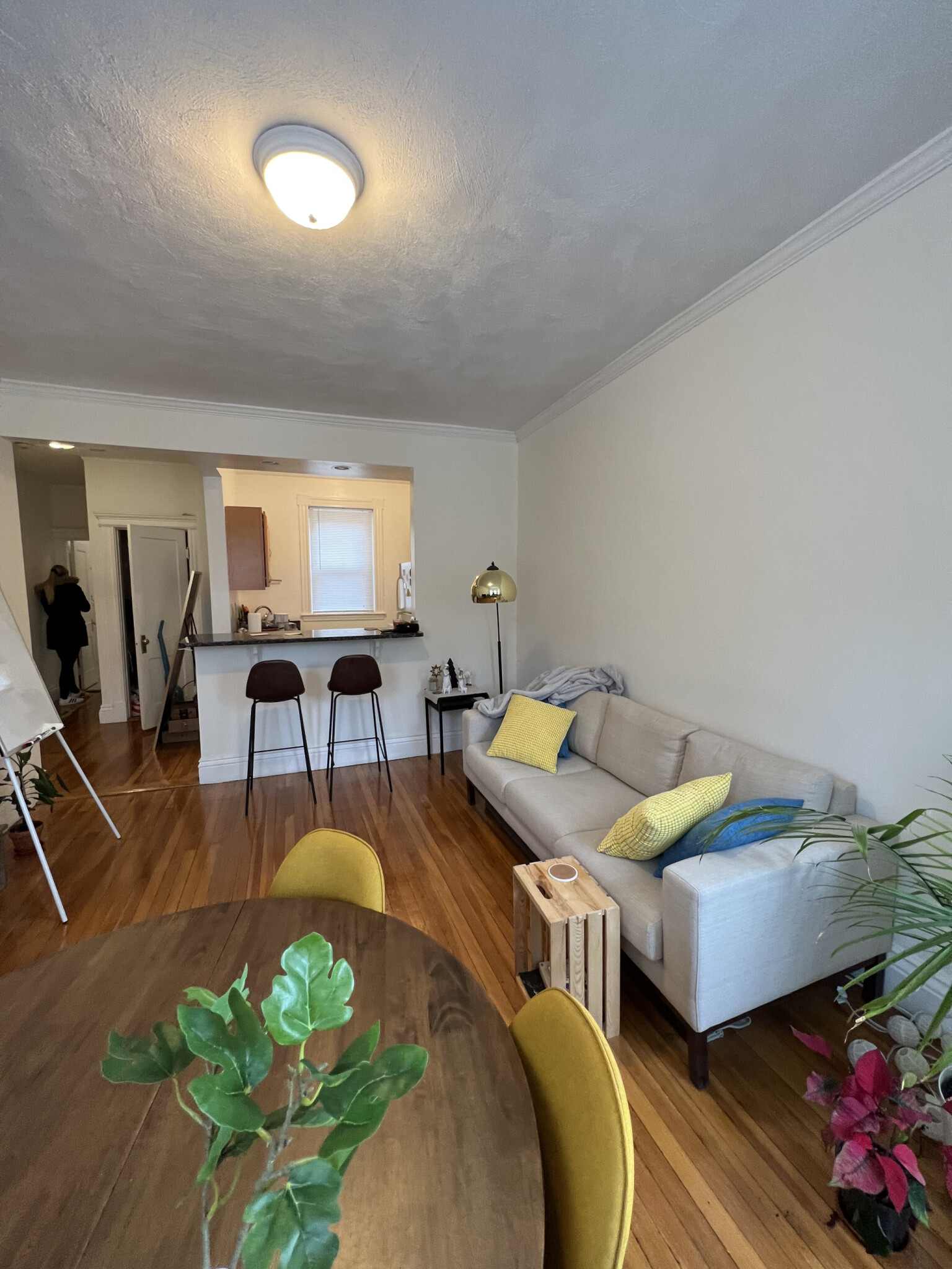 120 Peterborough St, Fenway