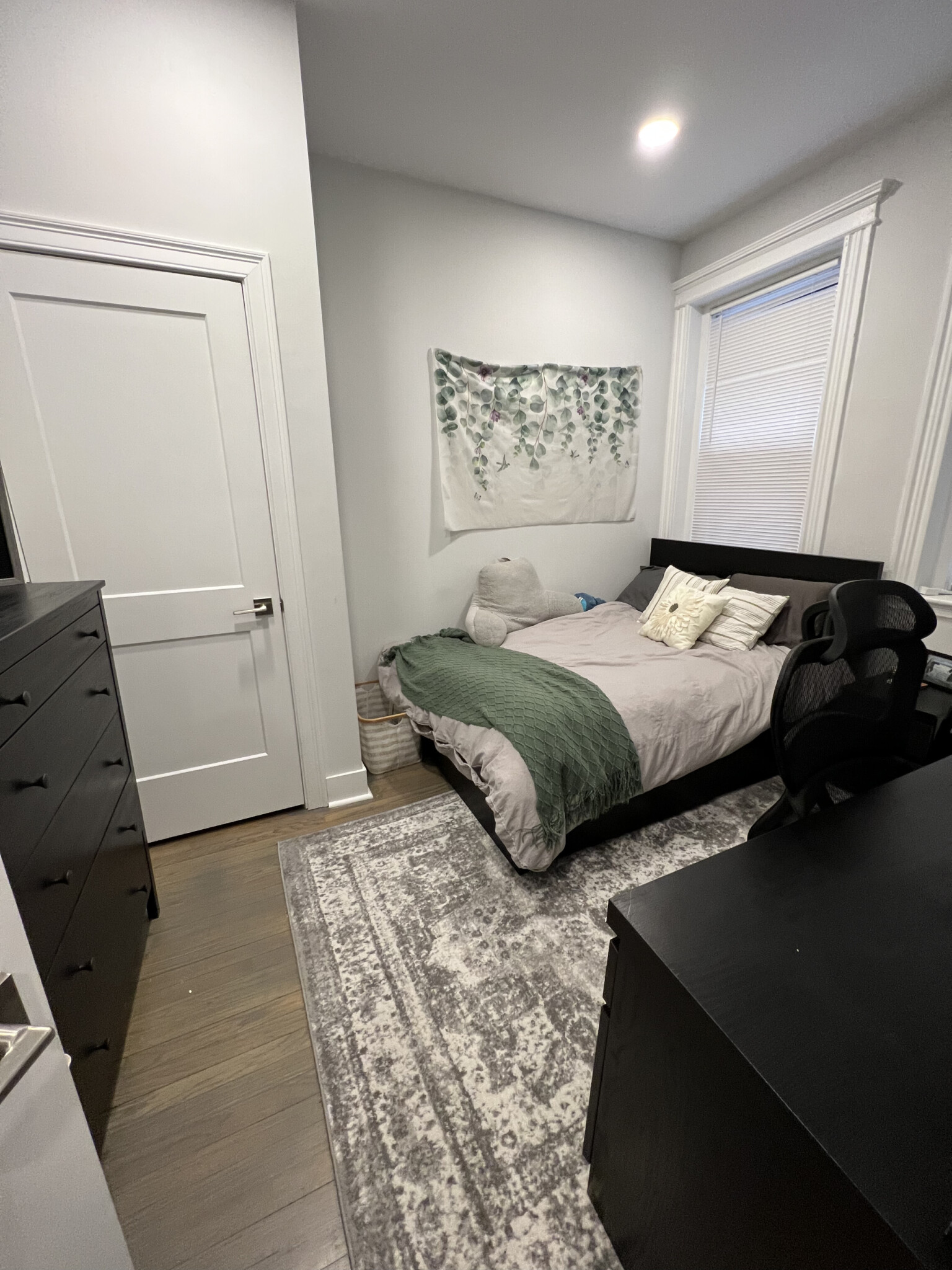 36 Queensberry St, Fenway