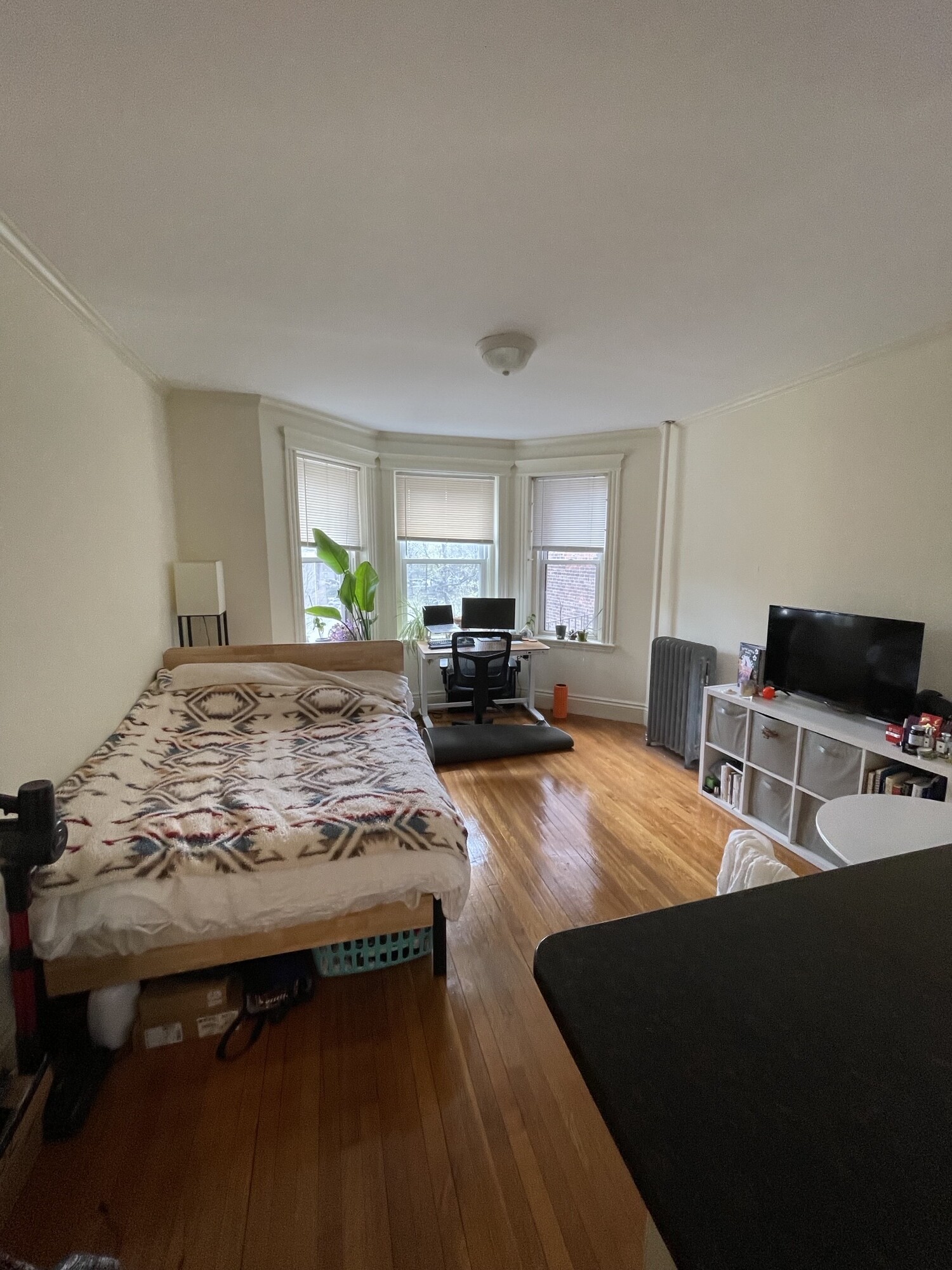 98 Queensberry St, Fenway