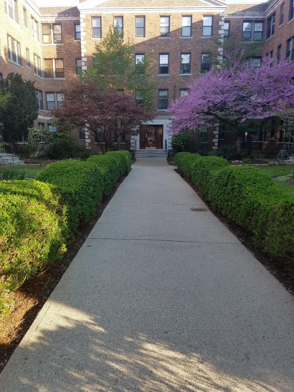 62 Queensberry St, Fenway