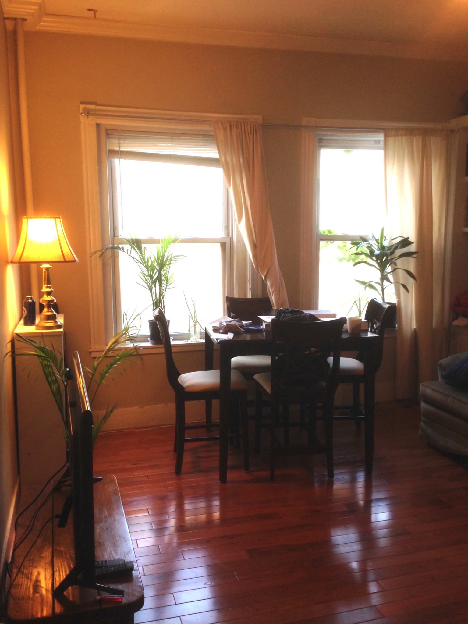 17 Aberdeen St, Fenway