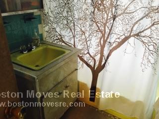 33 Lancaster Ter, Brookline Village