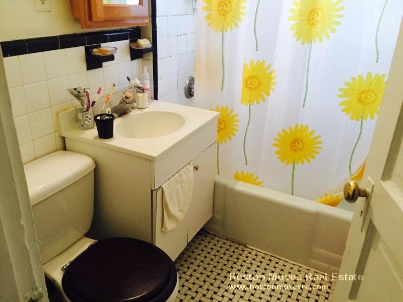 208 Winthrop Rd, Brookline Village