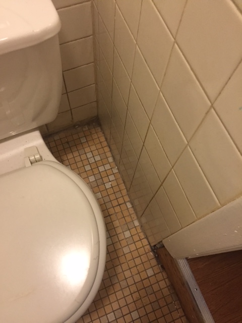 49 South Huntington Ave, Jamaica Plain