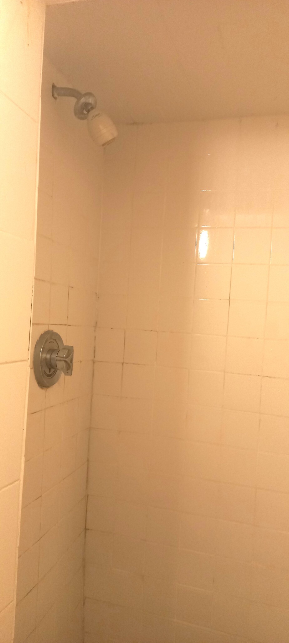 51 South Huntington Ave, Mission Hill