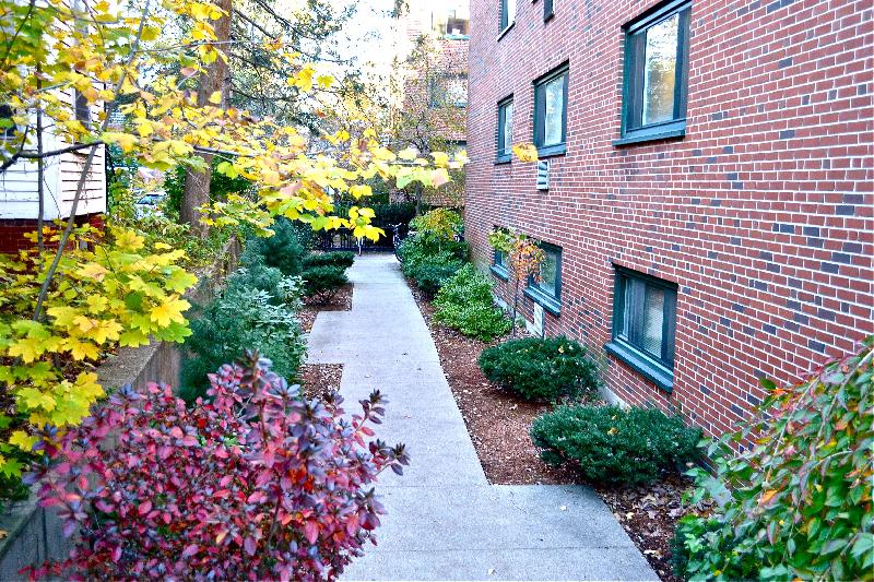 375 Harvard St, Mid-Cambridge