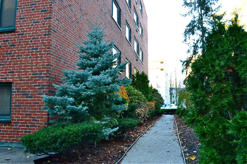 375 Harvard St, Mid-Cambridge