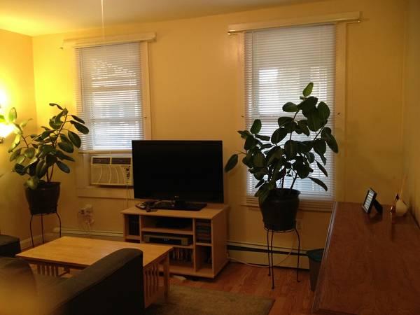 39 Adrian St, Somerville