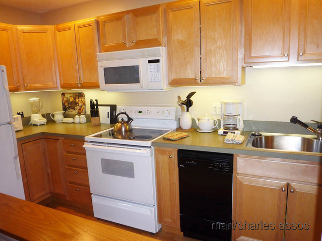 2 bed, 1 bath apartment for rent at X Towbridge St, Harvard Square — photo 3 of 6