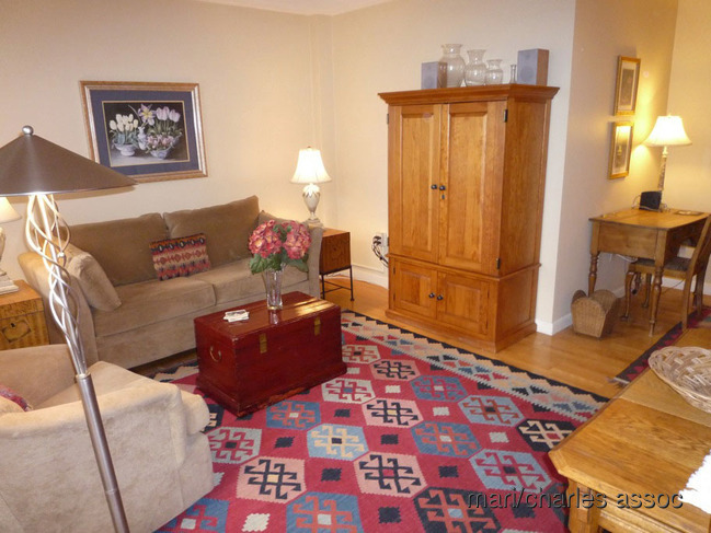 2 bed, 1 bath apartment for rent at X Towbridge St, Harvard Square — photo 5 of 6