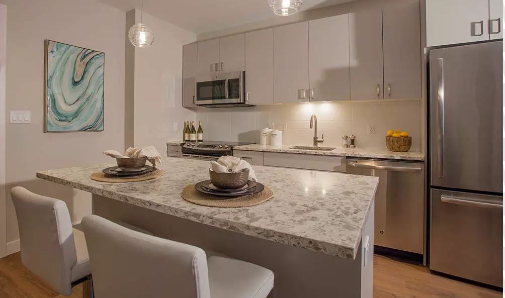 3 bed, 2 bath apartment for rent at 5 Fan Pier Blvd, Seaport District — photo 3 of 10
