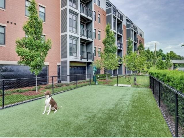 3 bed, 2 bath apartment for rent at 1 Maxwells Green, Somerville — photo 31 of 32