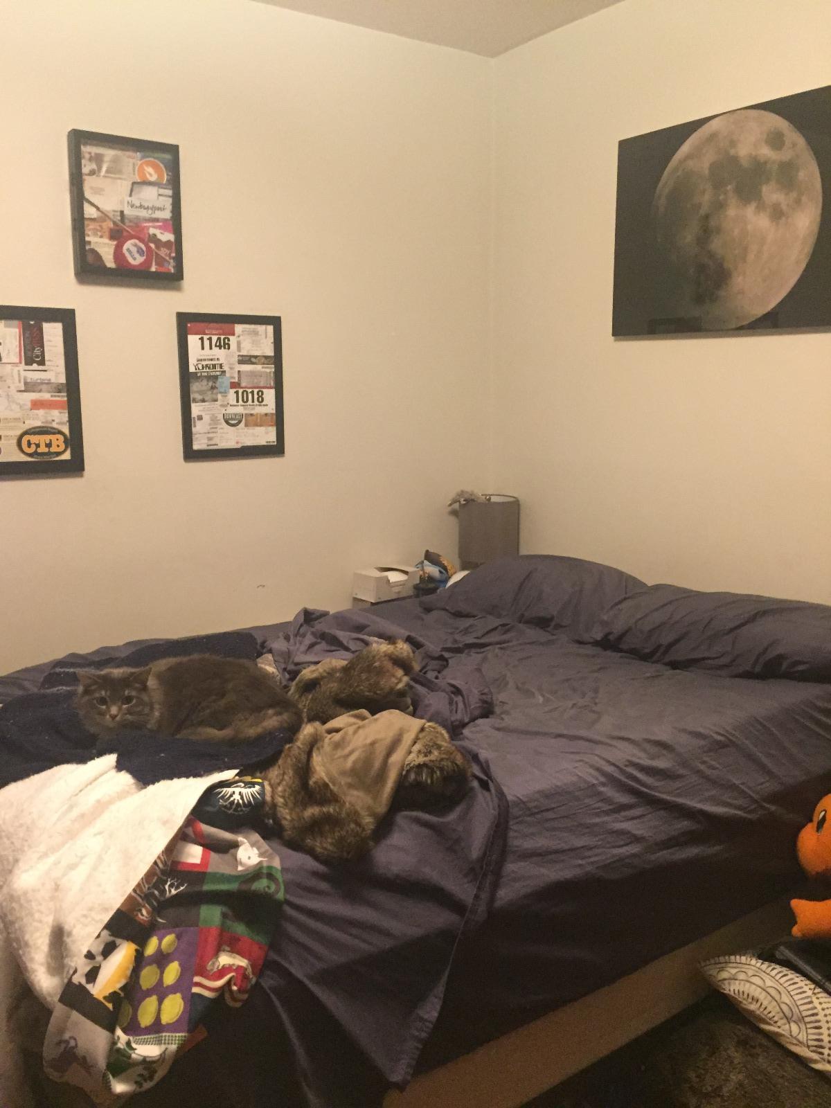 1 bed, 1 bath apartment for rent at 59 Burbank St Unit 4, Fenway — photo 11 of 11