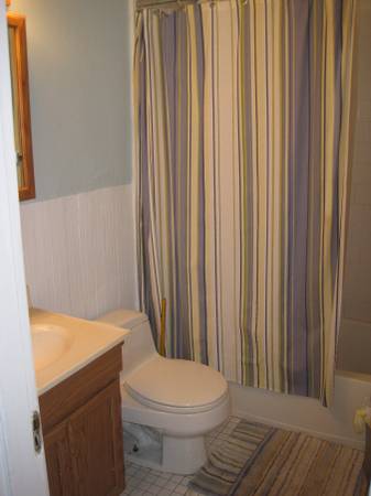 4 bed, 2 bath apartment for rent at 88 Fisher Ave Unit 3, Mission Hill — photo 6 of 6