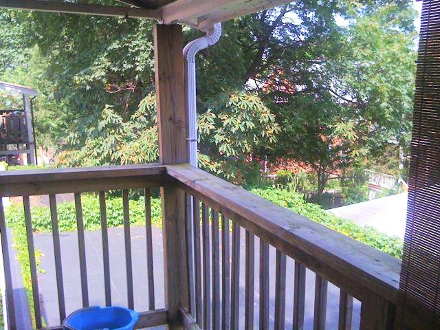 23 Colwell Ave, Brighton