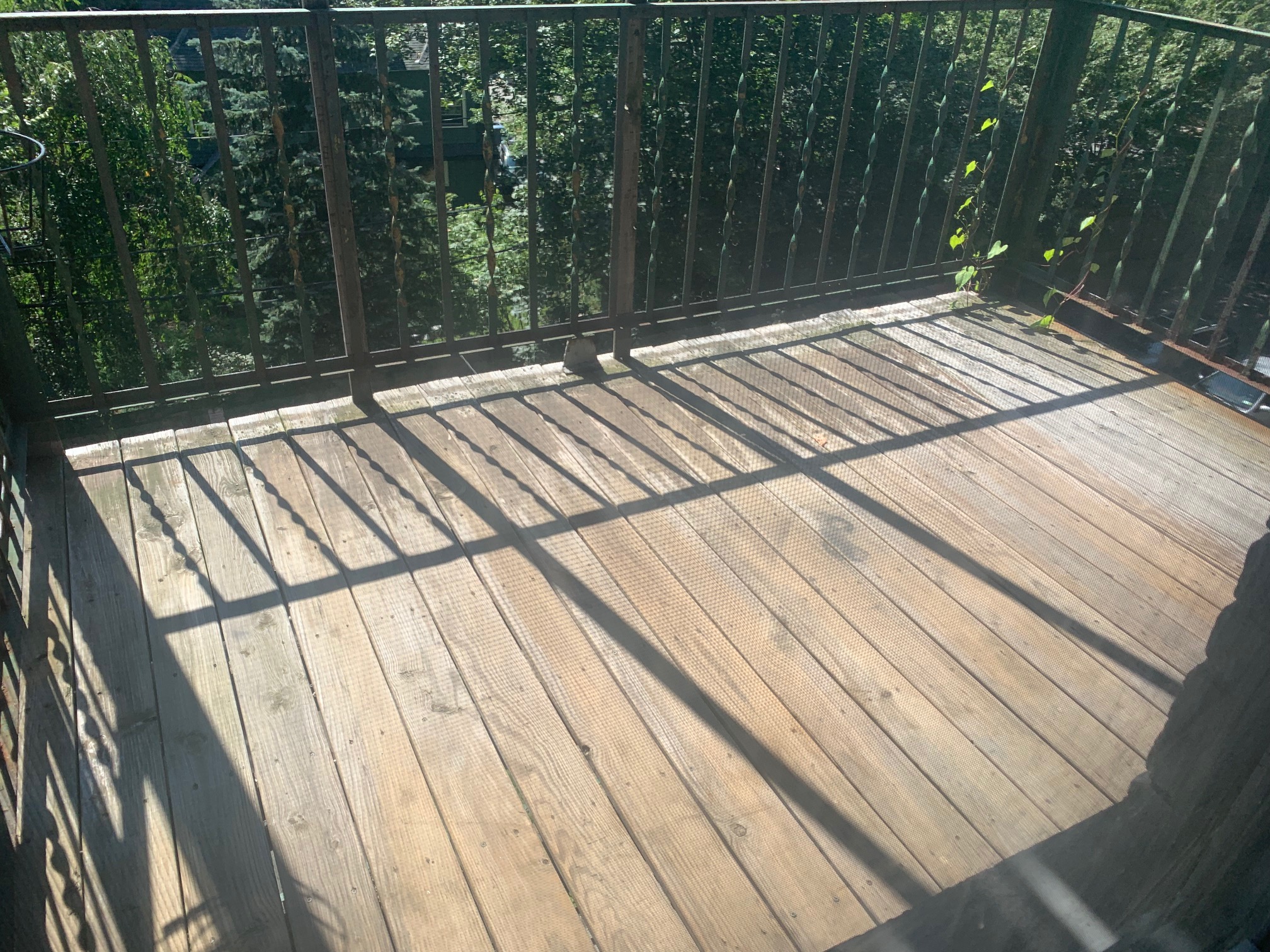 1489 Beacon St, Griggs Park