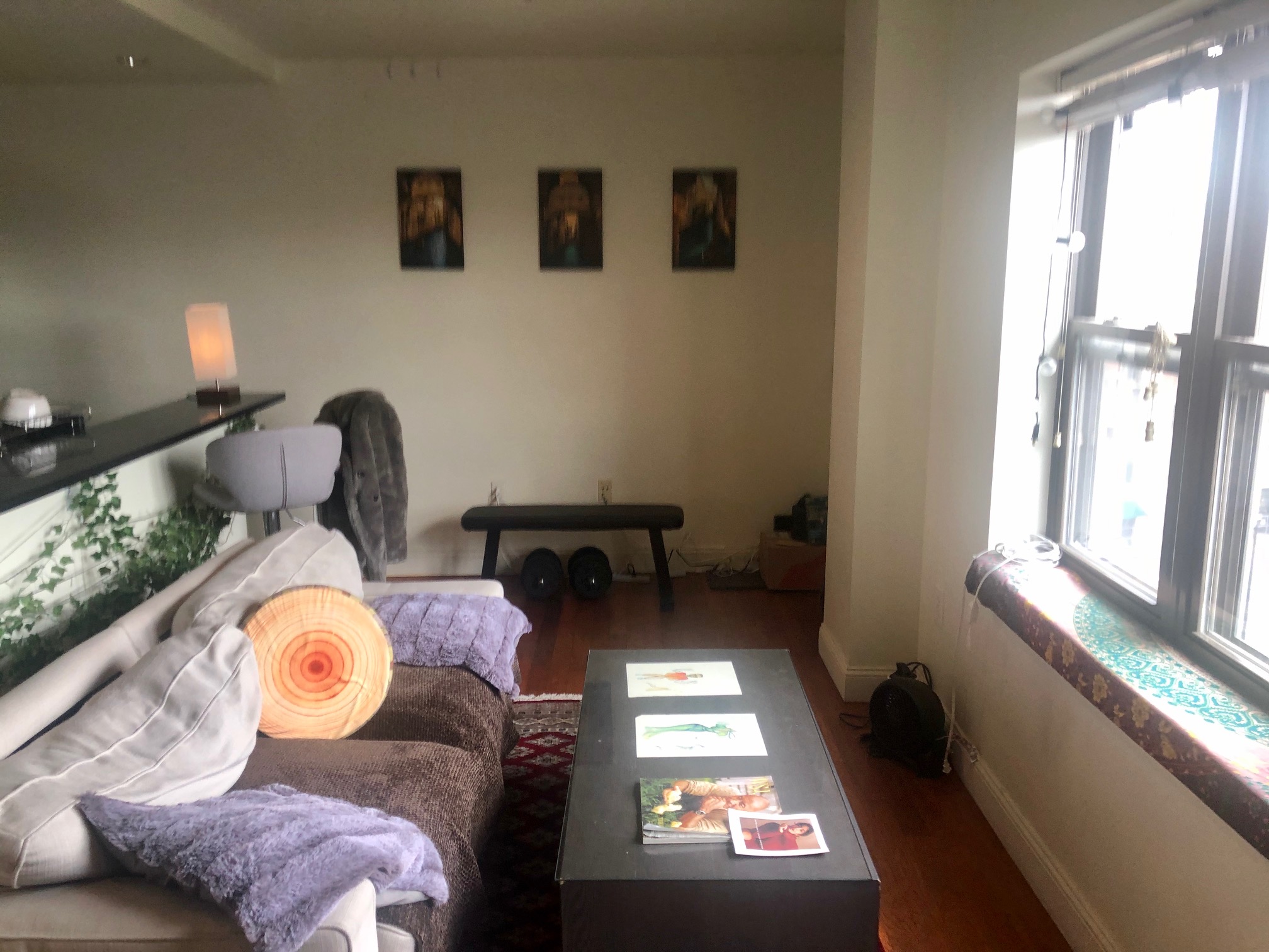 1 bed, 1 bath apartment for rent at 534 Commonwealth Ave Unit 7C, Fenway — photo 7 of 39