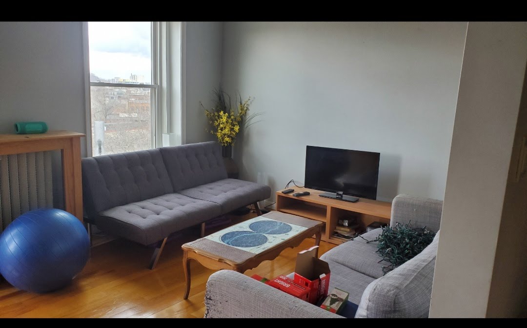 4 bed, 2 bath apartment for rent at 154 Harvard St Unit 1, Brookline — photo 4 of 4