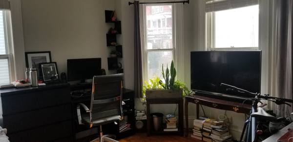 5 bed, 2 bath apartment for rent at 41 Avon St Unit 2, Spring Hill — photo 5 of 10