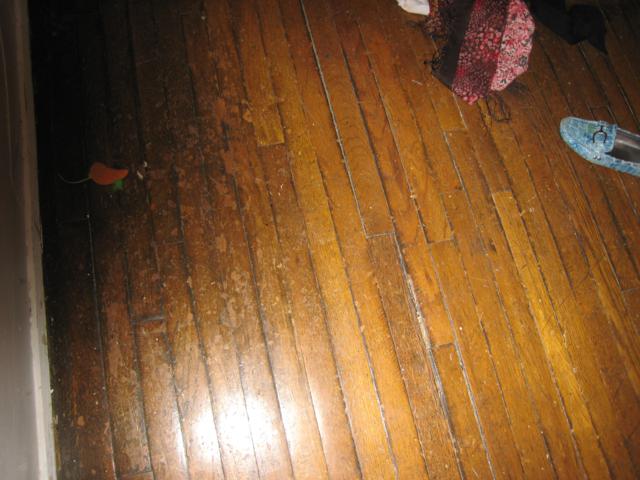 Photo 13 of Commonwealth Ave. Unit 5